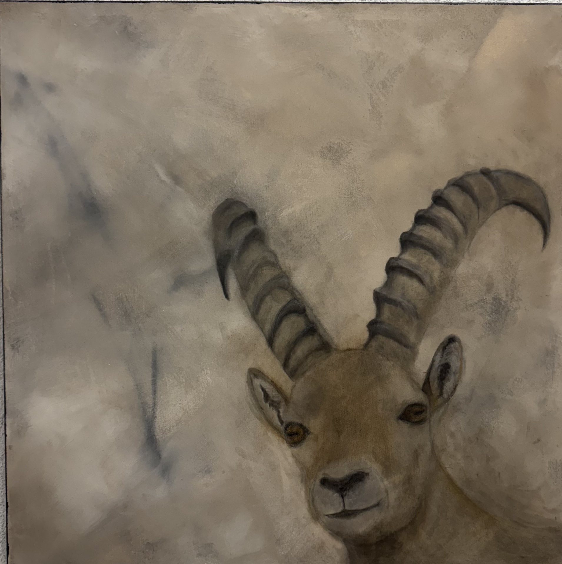 Tierbild „Nr. 43“ von Sandra Bucher
